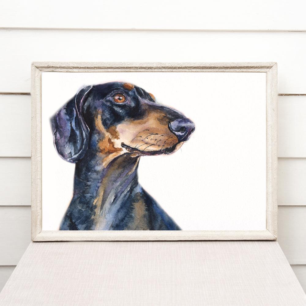 Print "Dachshund" | Watercolor