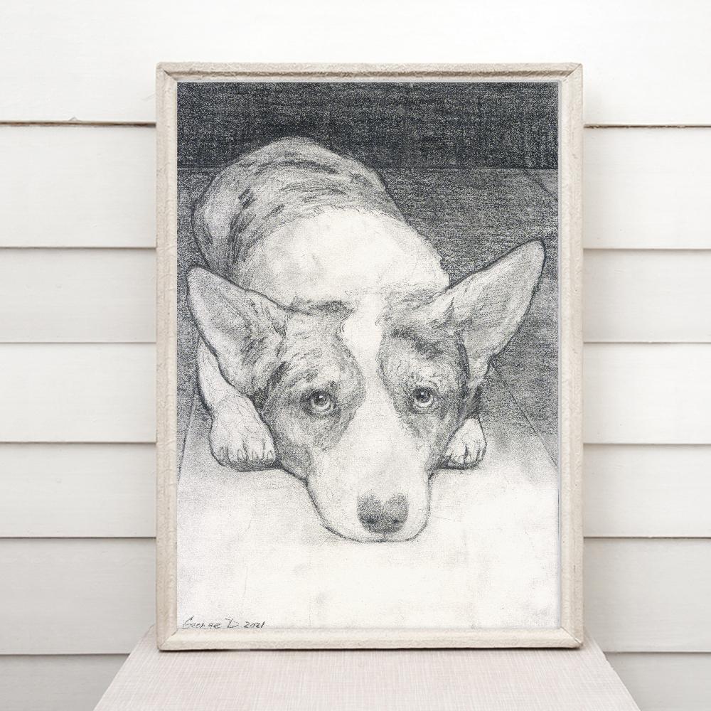 Print "Corgi" | Pencil