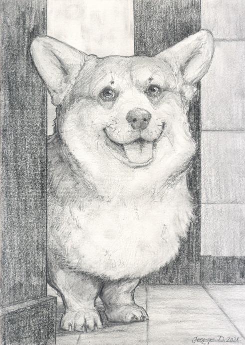 Custom order with pet | Pencil | Size A4 (30 x 21cm)