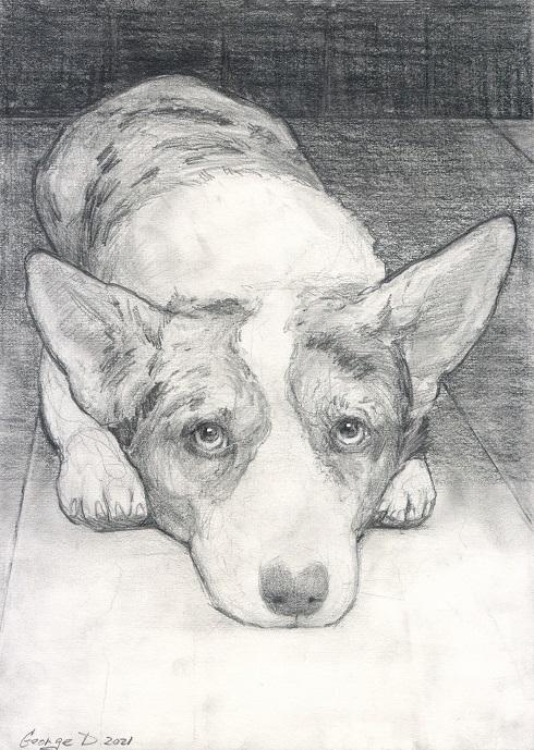 Custom order with pet | Pencil | Size 10 x 8 inches