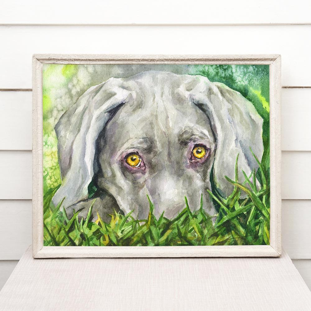 Print "Weimaraner" | Watercolor