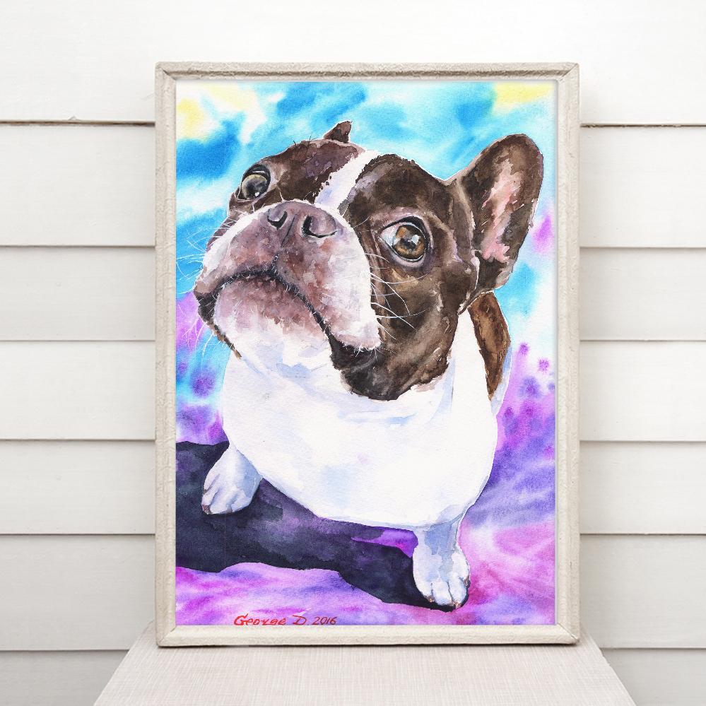 Print "Boston terrier" | Watercolor
