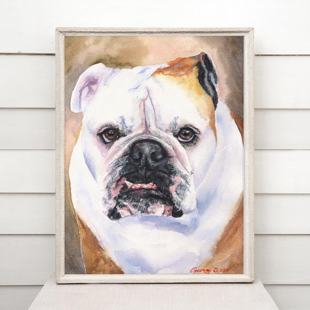 Print "English bulldog" | Watercolor