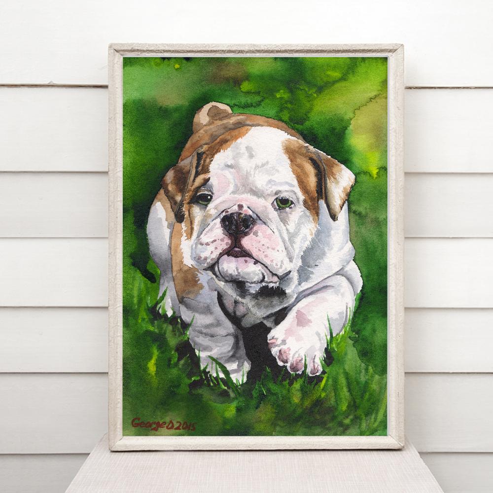Print "English bulldog puppy" | Watercolor