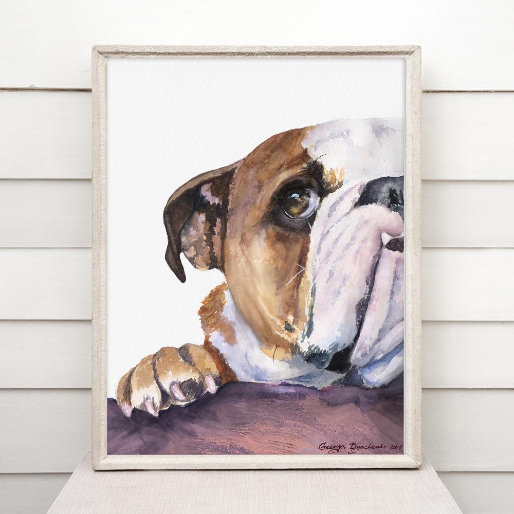 Print "English bulldog" | Watercolor