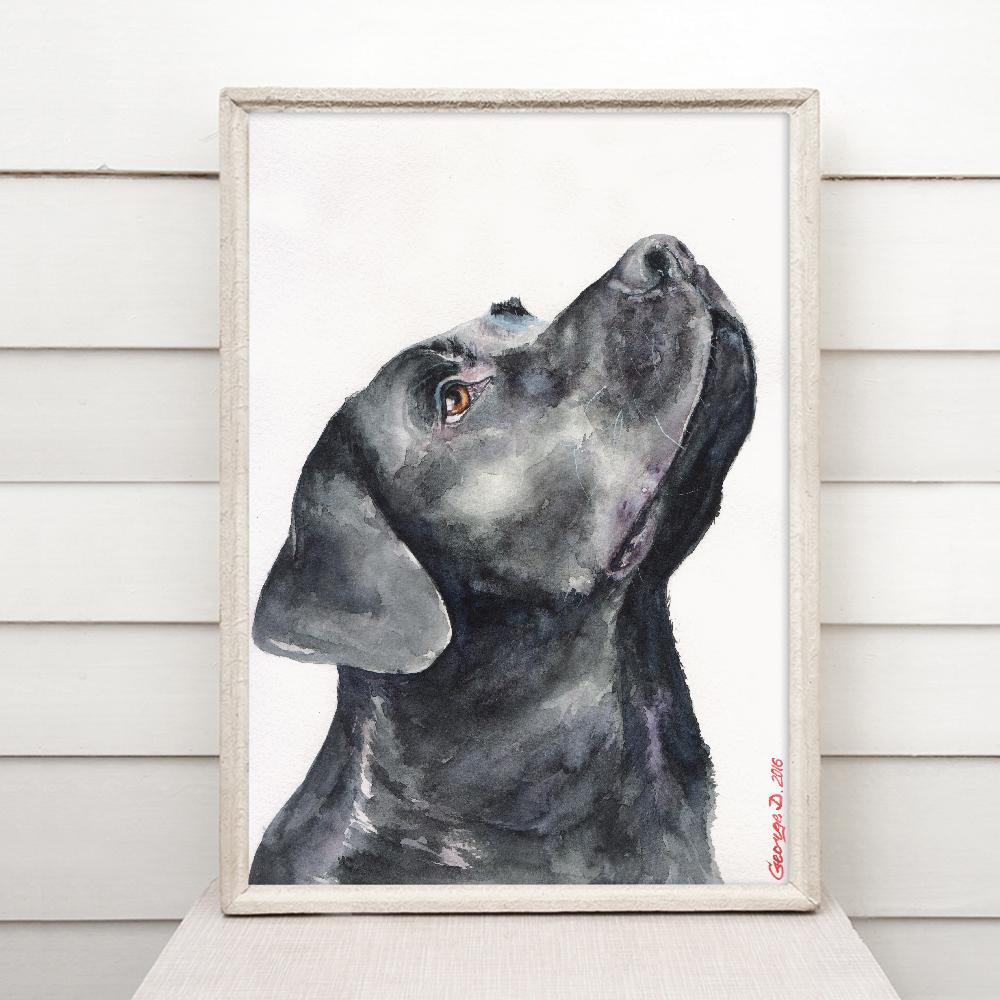 Print "Labrador" | Watercolor