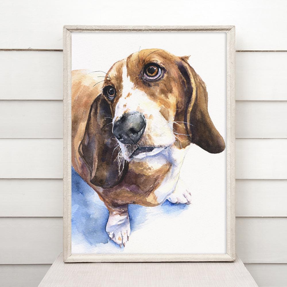 Print "Basset Hound" | Watercolor