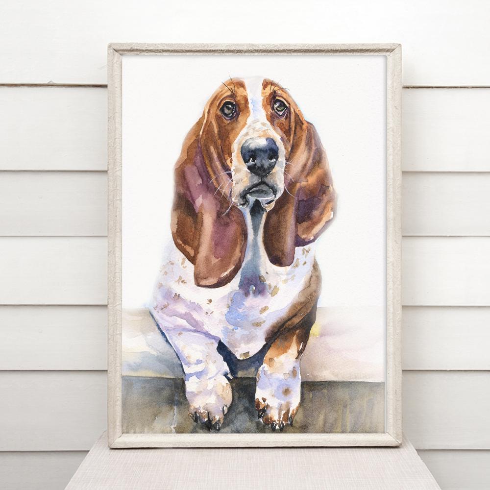 Print "Basset Hound" | Watercolor