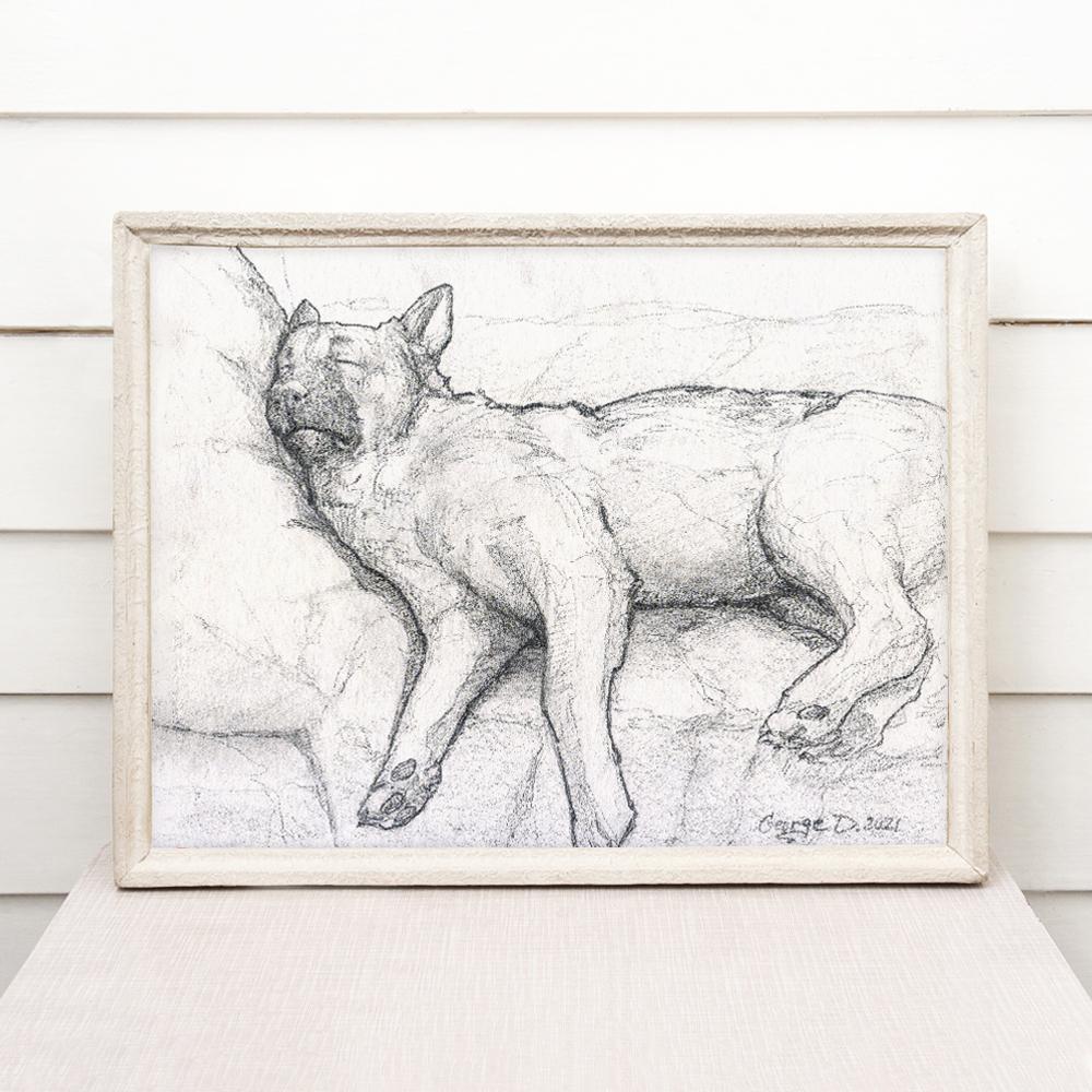 Print "German Shepherd" | Pencil