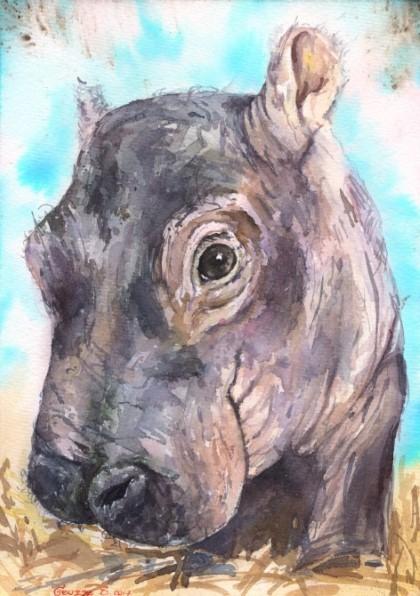Print "Hippo baby" | Watercolor