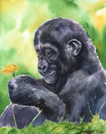 Print "Gorilla baby" | Watercolor