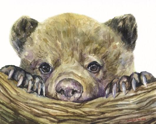 Print "Bear cub" | Watercolor