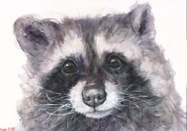 Print "Raccoon" | Watercolor