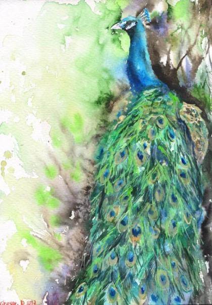 Print "Peacock" | Watercolor