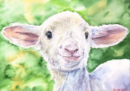 Print "Lamb" | Watercolor