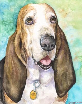 Print "Basset Hound" | Watercolor