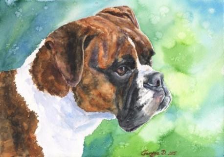 Print "Boxer" | Watercolor