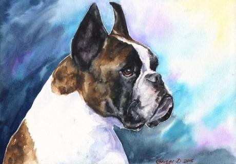 Print "Boxer" | Watercolor