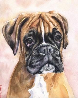 Print "Boxer" | Watercolor