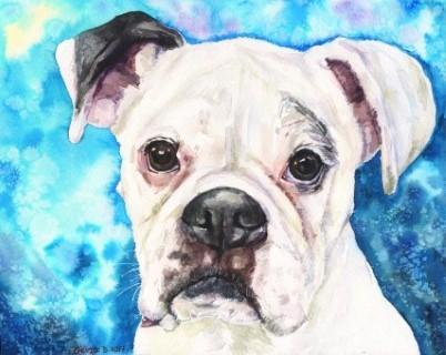 Print "White Boxer" | Watercolor