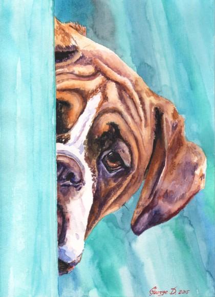 Print "Boxer" | Watercolor