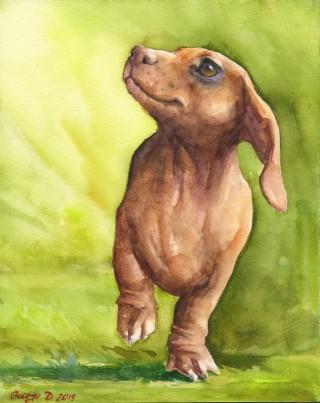 Print "Dachshund" | Watercolor