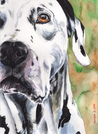 Print "Dalmatian" | Watercolor