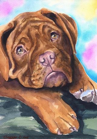 Print "Dogue de bordeaux" | Watercolor