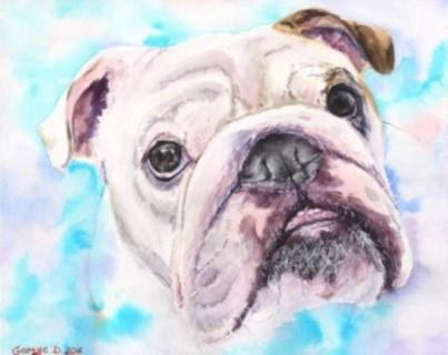 Print "English bulldog" | Watercolor