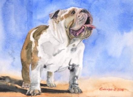Print "English bulldog" | Watercolor