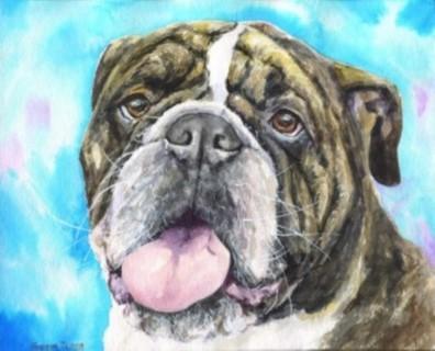 Print "English bulldog" | Watercolor