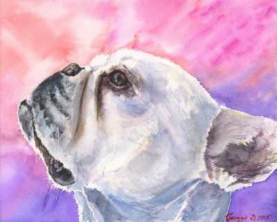 Print "French bulldog" | Watercolor