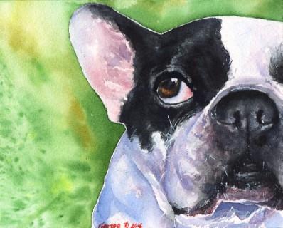 Print "French bulldog" | Watercolor