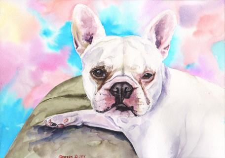 Print "French bulldog" | Watercolor