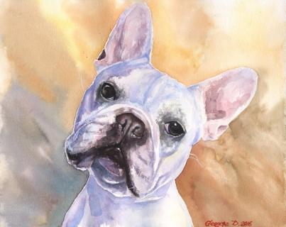 Print "French bulldog" | Watercolor