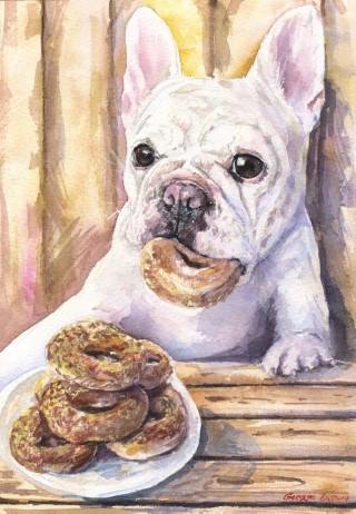 Print "French bulldog and donuts" | Watercolor