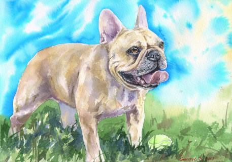 Print "French bulldog" | Watercolor