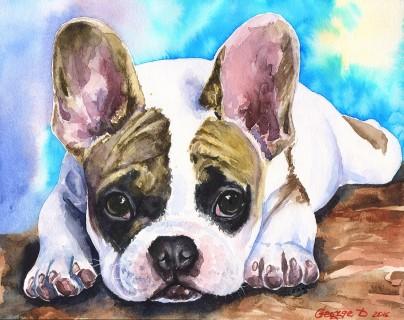 Print "French bulldog" | Watercolor