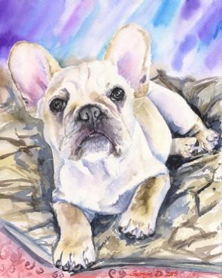 Print "French bulldog" | Watercolor