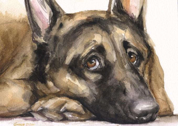 Print "German Shepherd" | Watercolor