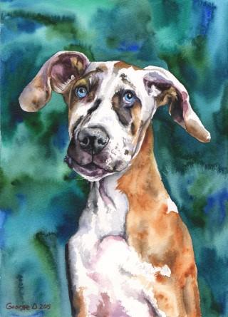 Print "Great Dane" | Watercolor
