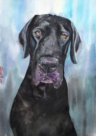 Print "Great Dane" | Watercolor