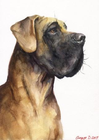 Print "Great Dane" | Watercolor