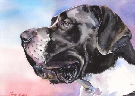 Print "Great Dane" | Watercolor