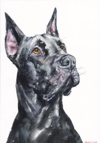 Print "Great Dane" | Watercolor