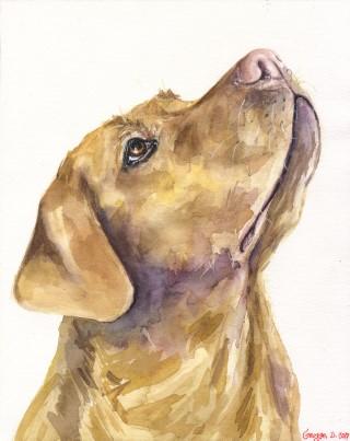 Print "Yellow Labrador" | Watercolor