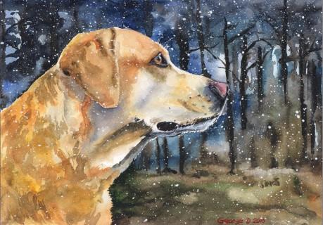 Print "Labrador" | Watercolor