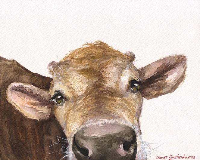 Print "Cute calf" | Watercolor