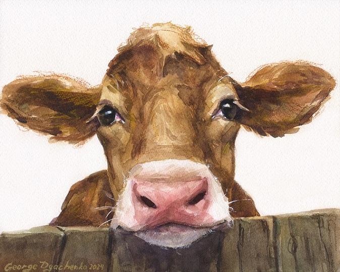 Print "Cute calf" | Watercolor