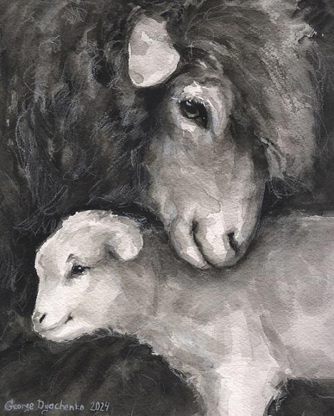 Print "Sheep and her lamb" | Watercolor